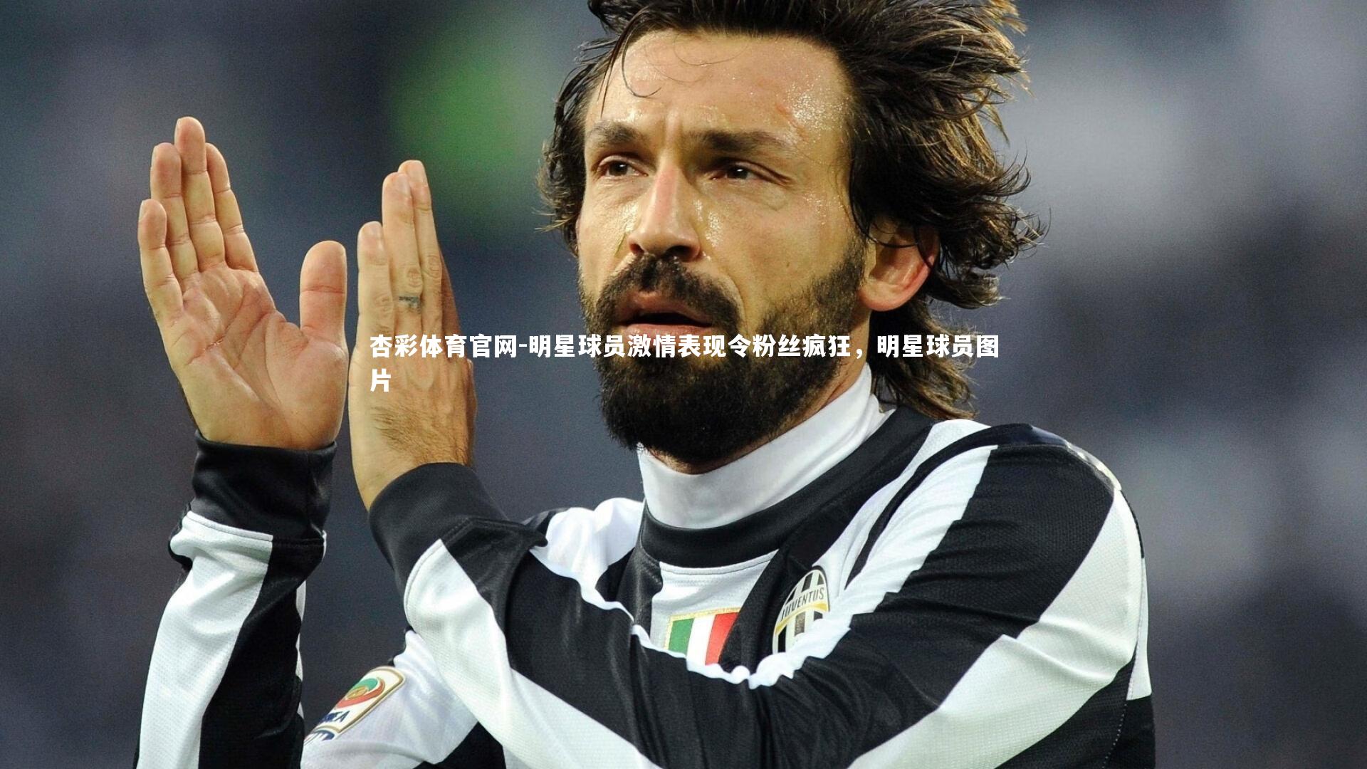 明星球员激情表现令粉丝疯狂，明星球员图片