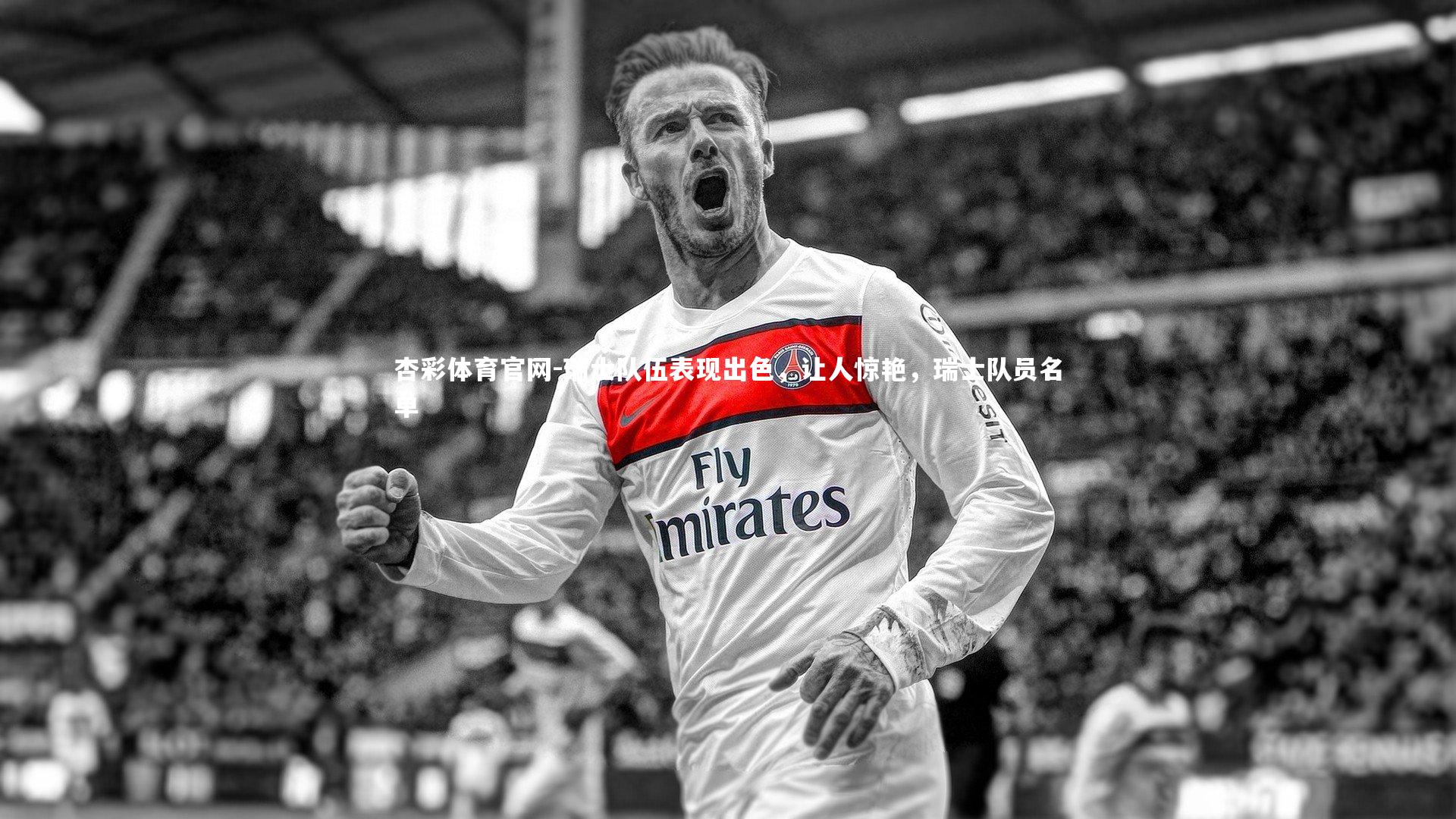 瑞士队伍表现出色，让人惊艳，瑞士队员名单