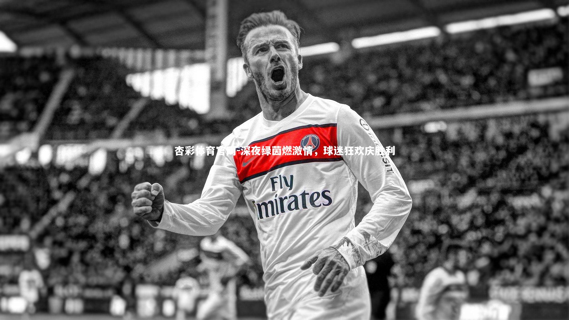 深夜绿茵燃激情,球迷狂欢庆胜利